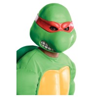 Ninja Turtle Mask
